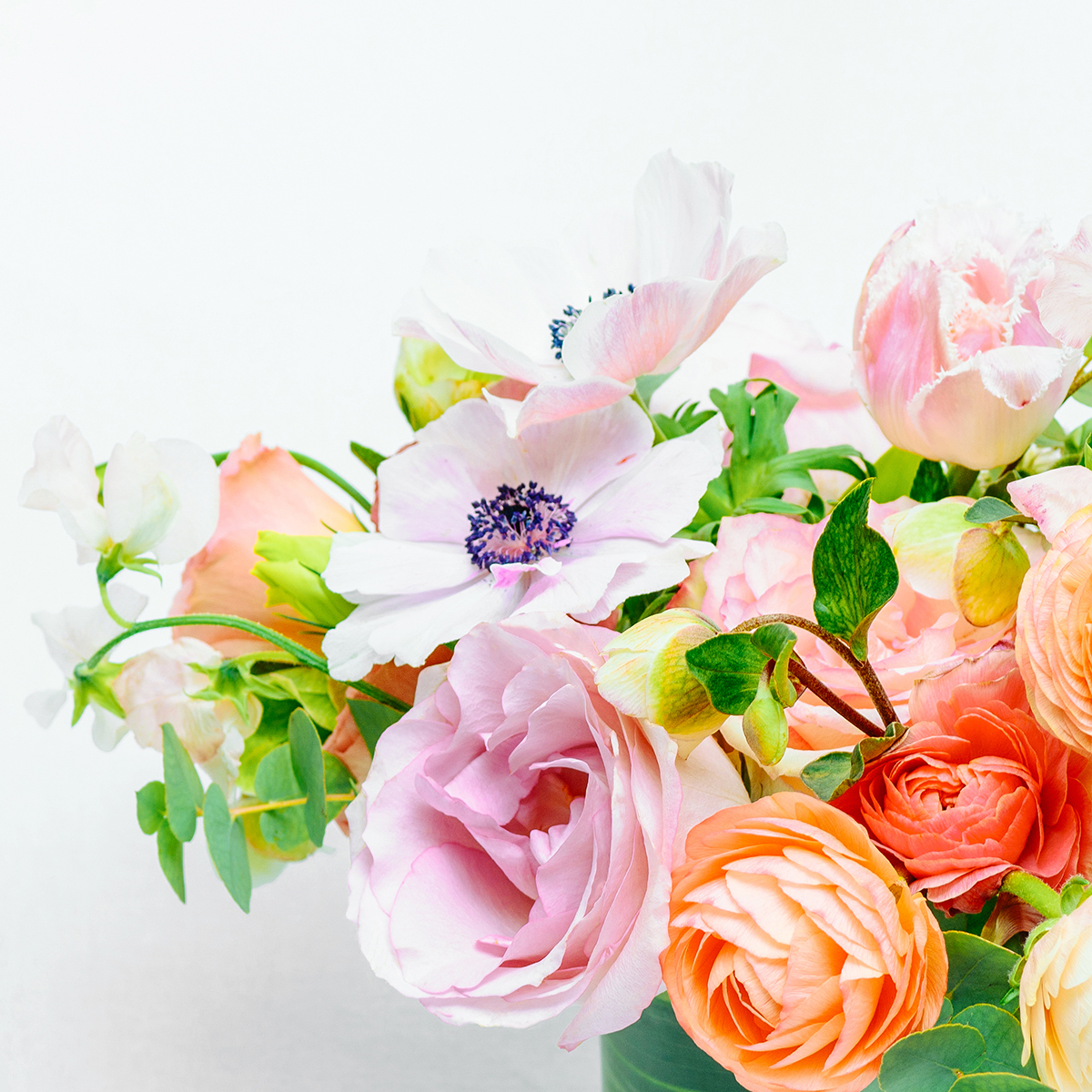 Valentine 1 original