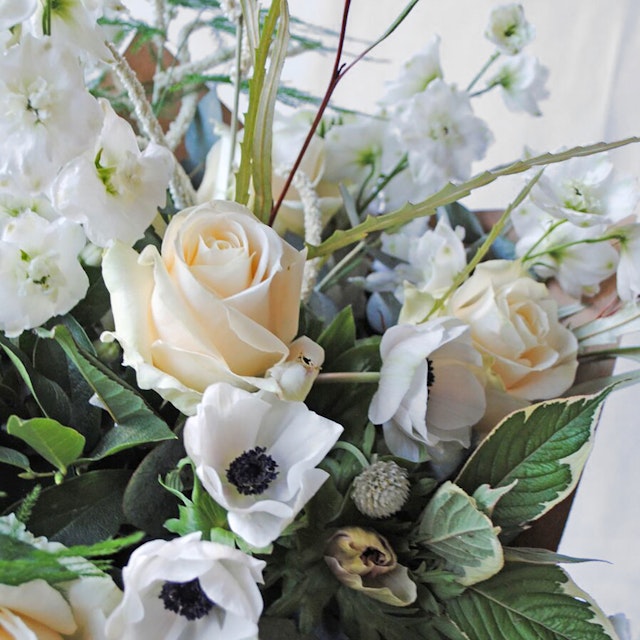 Whiter Shade of Pale