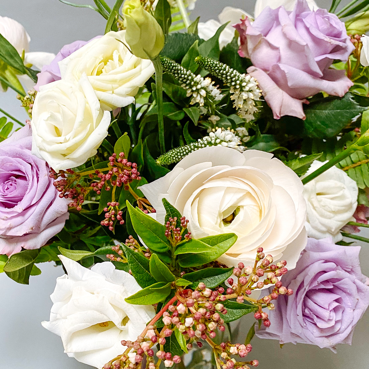 BLOSSOM ブロッサム 23-24 Elegante Scallop Trim Lace Moto Jacket - Fuchsia | Boston Proper