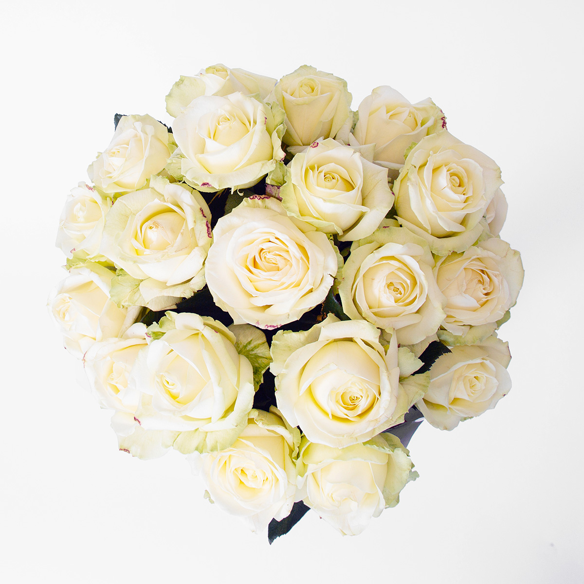 White Roses (20)