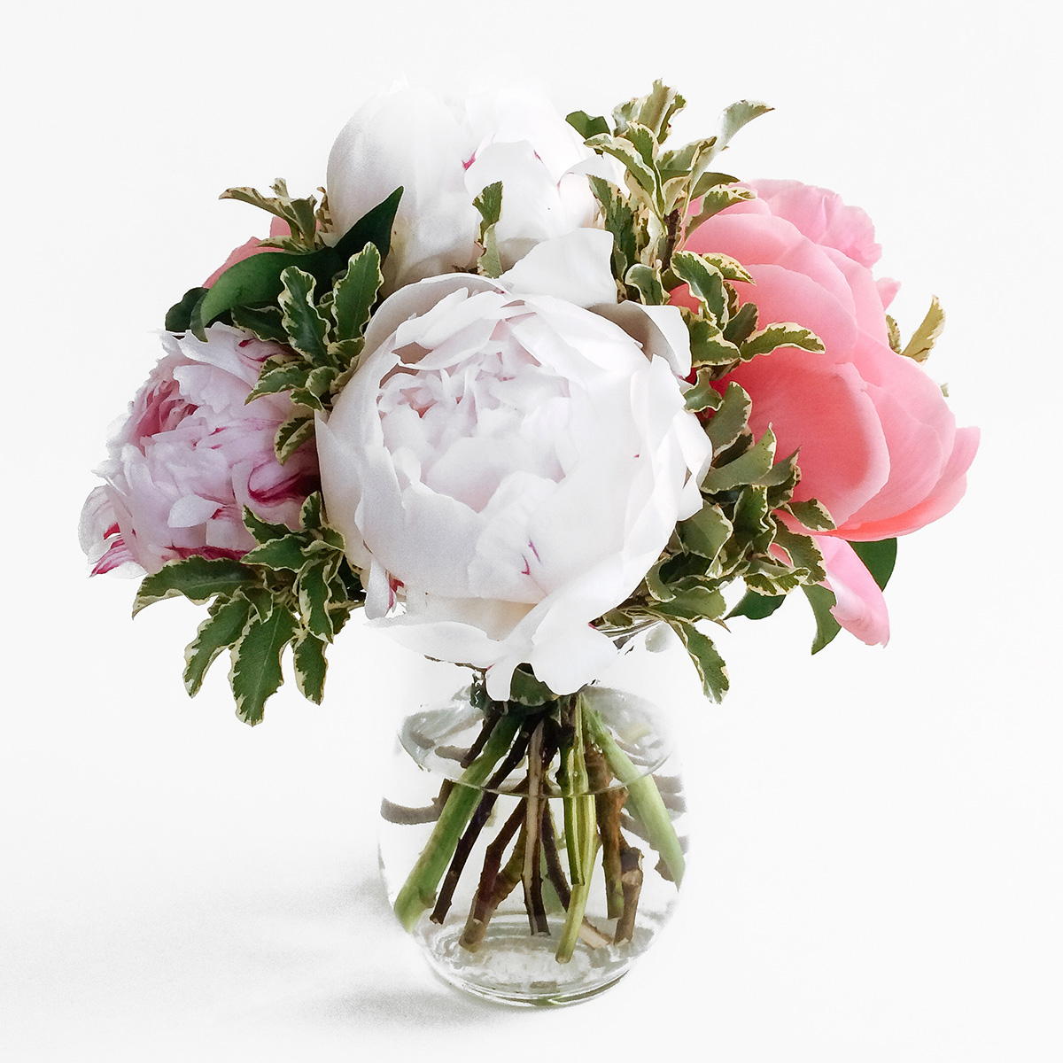 Peony Vase Small