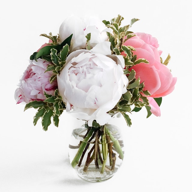 Peony Vase Small